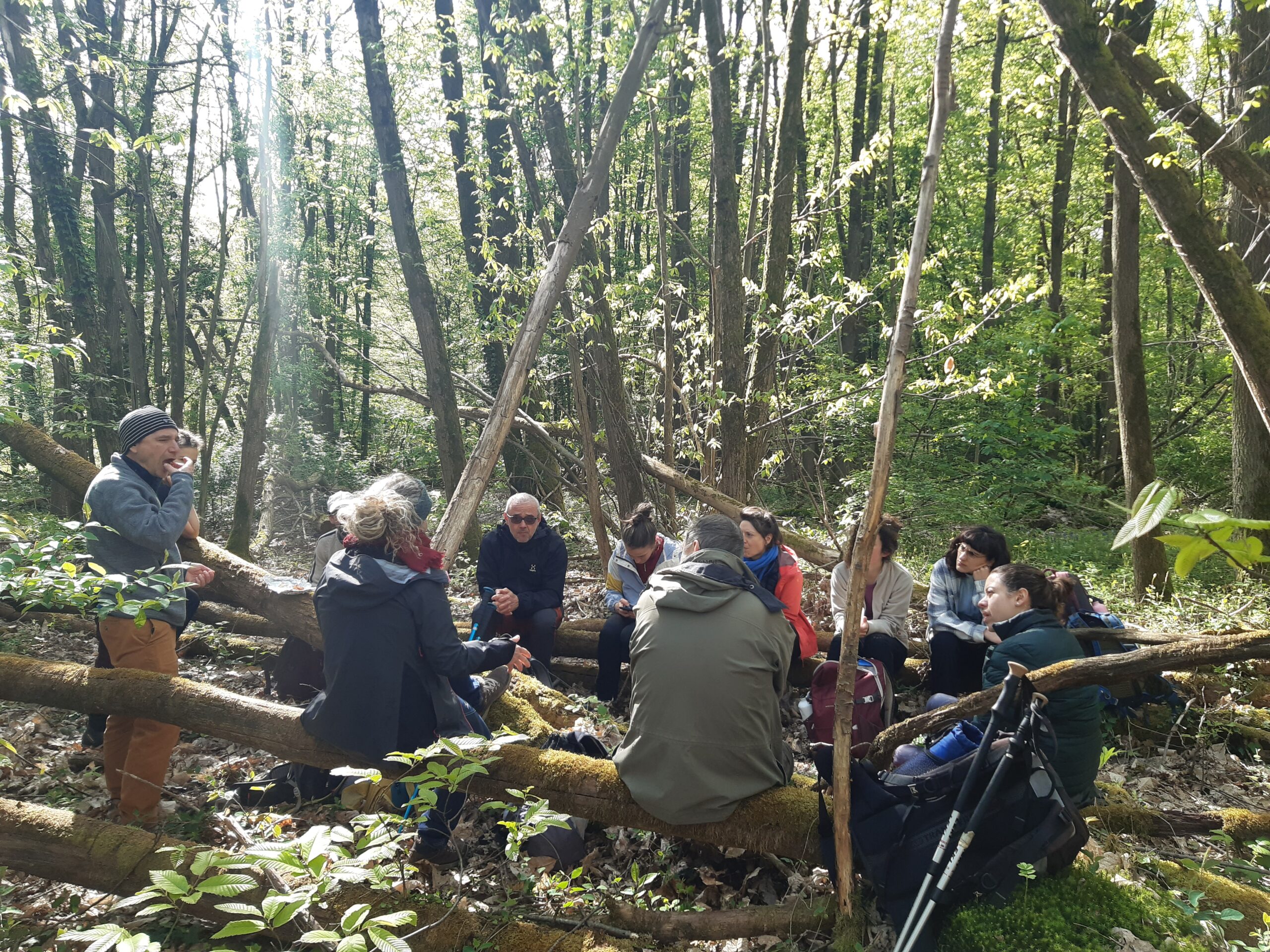 Un groupe d'une dizaine de personne pique niquent assis en cercle sur des troncs d'arbres